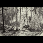 Forest Scene | Fine Art Print