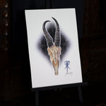 Bindrune Skull (Tanngnjostr Sorcery Skull) | Limited Edition Fine Art Print